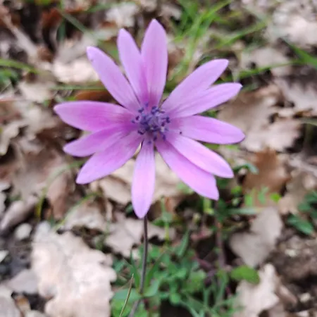 Casa Ponte Marchetto *