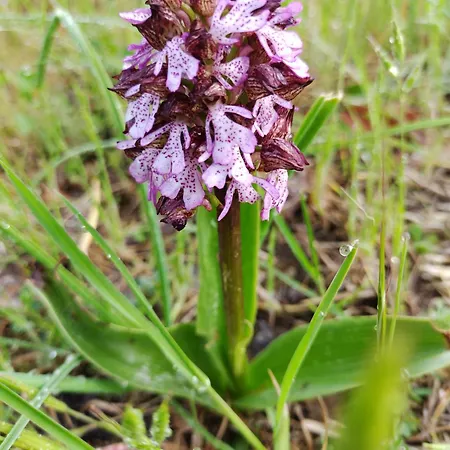 Casa Ponte Marchetto *