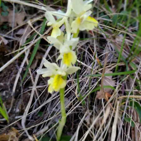 Casa Ponte Marchetto アパート *