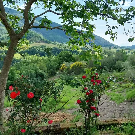 公寓 Casa Ponte Marchetto