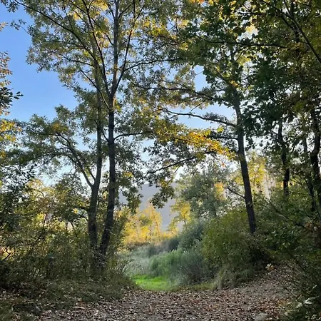Apartment Casa Ponte Marchetto *