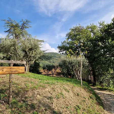 Casa Ponte Marchetto *