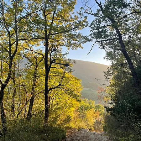 Casa Ponte Marchetto Apartment *