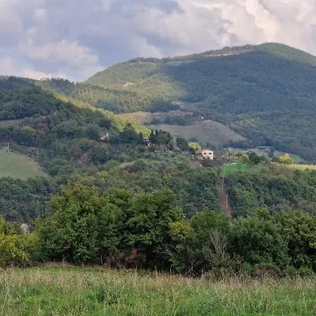 Casa Ponte Marchetto アパート *