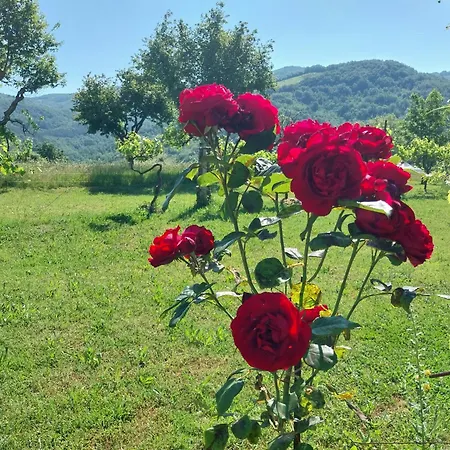 Διαμέρισμα Casa Ponte Marchetto *