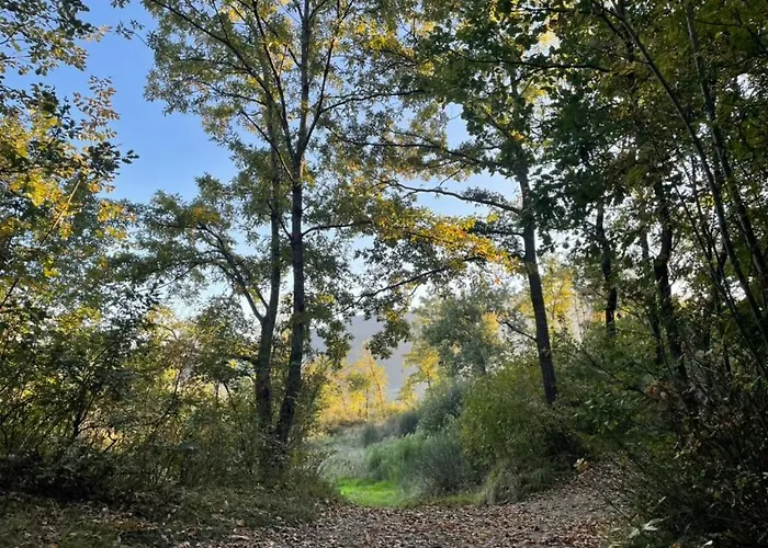 Apartment Casa Ponte Marchetto *